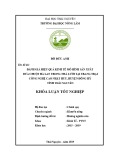 Khóa luận tốt nghiệp Khuyến nông: Đánh giá hiệu quả kinh tế của mô hình trồng cây dưa chuột hà lan trong nhà lưới tại trang trại công nghệ cao Nhật Huy huyện Đồng Hỷ - Tỉnh Thái Nguyên