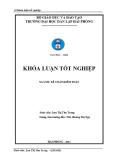 Khóa luận tốt nghiệp Kế toán Kiểm toán: Hoàn thiện tổ chức công tác kế toán doanh thu, chi phí bán hàng và xác định kết quả kinh doanh tại Công ty Cổ phần Sơn Hải Phòng