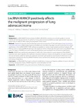 LncRNA MANCR positively affects the malignant progression of lung adenocarcinoma
