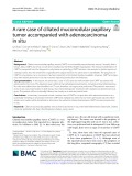 A rare case of ciliated muconodular papillary tumor accompanied with adenocarcinoma in situ