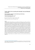 Captive culture of two sea snake species hydrophis curtus and hydrophis cyanocinctus