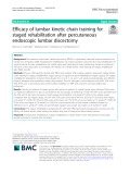 Efficacy of lumbar kinetic chain training for staged rehabilitation after percutaneous endoscopic lumbar discectomy