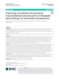 Improving consultations for persistent musculoskeletal low back pain in orthopaedic spine settings: An intervention development