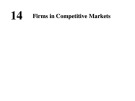 Lecture Chapter 14: Firms in Competitive Markets