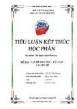 Tiểu luận Chủ nghĩa xã hội Khoa học: Vấn đề dân tộc - lý luận và liên hệ