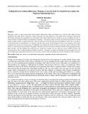 Ending divorce without bitterness: Making a case for only no-fault divorce under the Nigerian matrimonial law