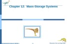 Lecture Operating system concepts: Chapter 12