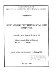Luận văn Thạc sĩ Kinh tế chính trị: Nguồn vốn phát triển đào tạo nghề ở Việt Nam