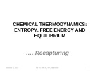 Lecture Physical chemistry - Chemical thermodynamics: entropy, free energy and equilibrium