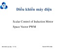 Bài giảng Điều khiển máy điện: Scalar Control of Induction Motor & Space Vector PWM - Nguyễn Ngọc Tú