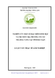 Luận văn Thạc sĩ Lâm nghiệp: Nghiên cứu một số đặc điểm sinh học và tri thức địa phương của cây Trà hoa vàng tại tỉnh Bắc Kạn