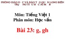 Bài giảng môn Tiếng Việt lớp 1 sách Cánh diều năm học 2019-2020 - Bài 23: g, gh (Trường Tiểu học Ái Mộ B)