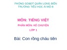 Bài giảng môn Tiếng Việt lớp 1 sách Cánh diều năm học 2019-2020 - Tuần 32: Kể chuyện Con rồng cháu tiên (Trường Tiểu học Ái Mộ B)