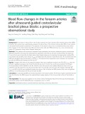 Blood flow changes in the forearm arteries after ultrasound-guided costoclavicular brachial plexus blocks: A prospective observational study