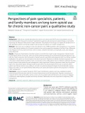 Perspectives of pain specialists, patients, and family members on long-term opioid use for chronic non-cancer pain: A qualitative study