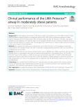Clinical performance of the LMA Protector™ airway in moderately obese patients