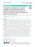 Perioperative redistribution of regional ventilation and pulmonary function: A prospective observational study in two cohorts of patients at risk for postoperative pulmonary complications