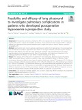Feasibility and efficacy of lung ultrasound to investigate pulmonary complications in patients who developed postoperative Hypoxaemia-a prospective study