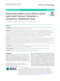 Ultrasound-guided versus Shikani optical stylet-aided tracheal intubation: A prospective randomized study
