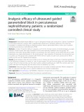 Analgesic efficacy of ultrasound guided paravertebral block in percutaneous nephrolithotomy patients: A randomized controlled clinical study