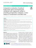 Comparative evaluation of epidural bupivacaine alone and bupivacaine combined with magnesium sulfate in providing postoperative analgesia: A metaanalysis of randomized controlled trials