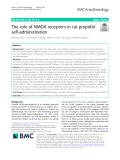 The role of NMDA receptors in rat propofol self-administration