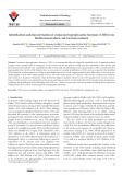 Identification and characterisation of crustacean hyperglycaemic hormone (CHH) from Mediterranean shore crab Carcinus aestuarii