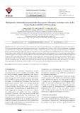Phylogenetic relationship among slender loris species (Primates, Lorisidae: Loris) in Sri Lanka based on mtDNA CO1 barcoding