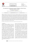 The morphometric and erythrometric analyses of Pelophylax ridibundus living in anthropogenic pollution resources