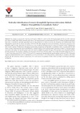 Molecular identification of invasive drosophilid Zaprionus tuberculatus Malloch (Diptera: Drosophilidae) in Çanakkale, Turkey