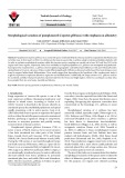 Morphological variation of pumpkinseed (Lepomis gibbosus) with emphasis on allometry