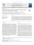 Electrical impedance tomography as a tool for monitoring mechanical ventilation. An introduction to the technique