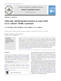 Molecular and biochemical markers in some lentil (Lens culinaris Medik.) genotypes