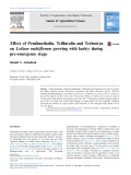 Effect of Pendimethalin, Trifluralin and Terbutryn on Lolium multiflorum growing with barley during pre-emergence stage