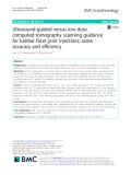 Ultrasound-guided versus low dose computed tomography scanning guidance for lumbar facet joint injections: Same accuracy and efficiency