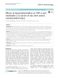 Effects of dexmedetomidine on TNF-α and interleukin-2 in serum of rats with severe craniocerebral injury