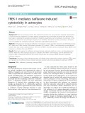 TREK-1 mediates isoflurane-induced cytotoxicity in astrocytes