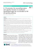 IL-17A promotes the neuroinflammation and cognitive function in sevoflurane anesthetized aged rats via activation of NFκB signaling pathway