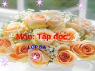 Giáo án điện tử môn Tiếng Việt lớp 3 - Tuần 4: Tập đọc Người mẹ