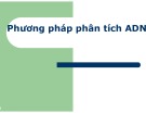 Bài giảng Sinh học phân tử: Phương pháp phân tích ADN