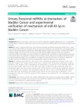 Urinary Exosomal miRNAs as biomarkers of bladder Cancer and experimental verification of mechanism of miR-93-5p in bladder Cancer