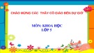 Bài giảng môn Khoa học lớp 5 năm học 2021-2022 - Bài 2: Nam hay nữ? - Tiết 1 (Trường Tiểu học Thạch Bàn B)