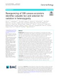 Resequencing of 388 cassava accessions identifies valuable loci and selection for variation in heterozygosity