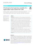 Chromosome-level genome assembly of a regenerable maize inbred line A188