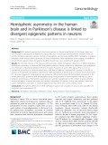 Hemispheric asymmetry in the human brain and in Parkinson’s disease is linked to divergent epigenetic patterns in neurons