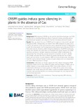 CRISPR guides induce gene silencing in plants in the absence of Cas