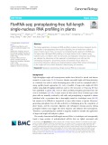 FlsnRNA-seq: Protoplasting-free full-length single-nucleus RNA profiling in plants