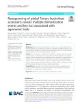 Resequencing of global Tartary buckwheat accessions reveals multiple domestication events and key loci associated with agronomic traits