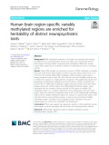 Human brain region-specific variably methylated regions are enriched for heritability of distinct neuropsychiatric traits
