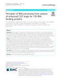 Principles of RNA processing from analysis of enhanced CLIP maps for 150 RNA binding proteins